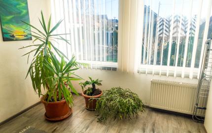 Rodinný dom na predaj – Nižná Myšľa