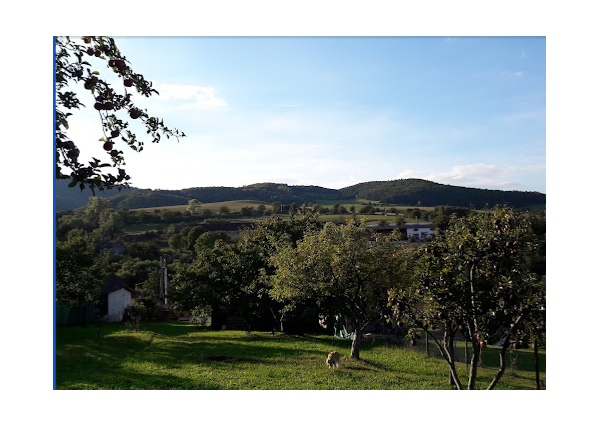 Stavebný pozemok v intraviláne obce Klenov