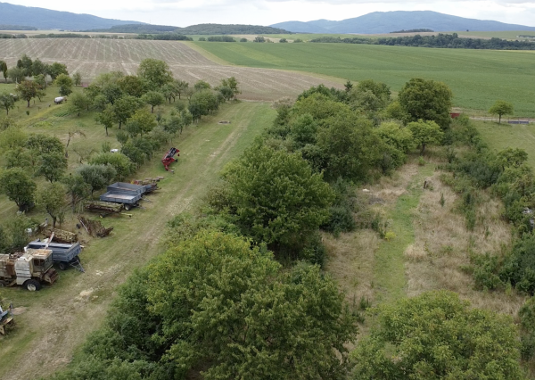 stavebný pozemok Boliarov - 22 km od Košíc, súkromná ulica