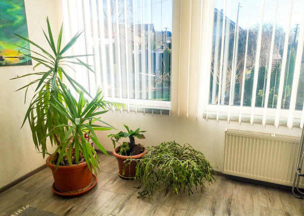 Rodinný dom na predaj – Nižná Myšľa